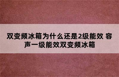 双变频冰箱为什么还是2级能效 容声一级能效双变频冰箱